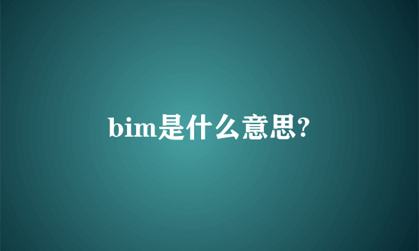 bim是什么意思?