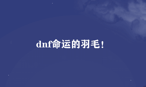 dnf命运的羽毛！