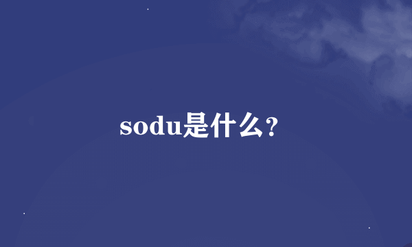 sodu是什么？