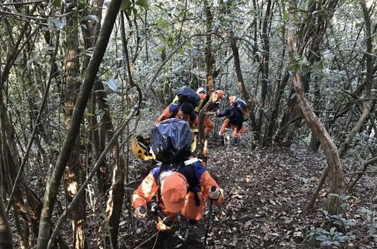 导致哀牢山失联人员遇难原因是什么？