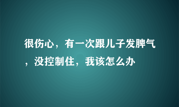 很伤心，有一次跟儿子发脾气，没控制住，我该怎么办