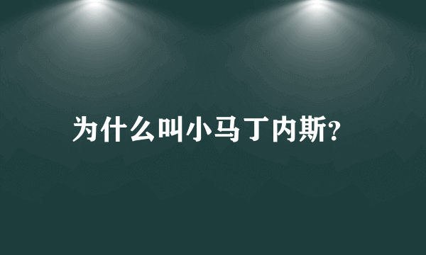 为什么叫小马丁内斯？