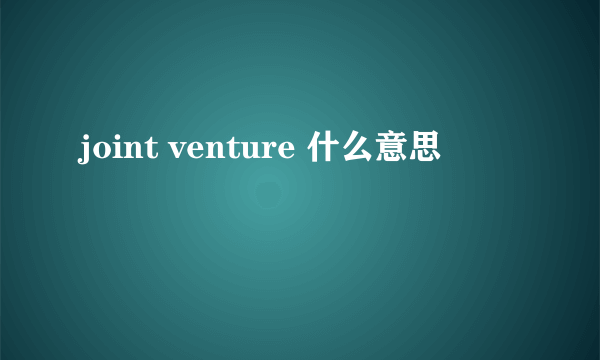 joint venture 什么意思