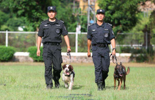 江西芦溪发生重大刑事案件，犯罪嫌疑人抓住了吗？