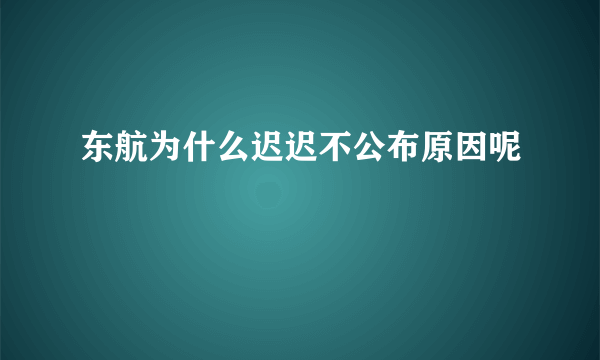 东航为什么迟迟不公布原因呢