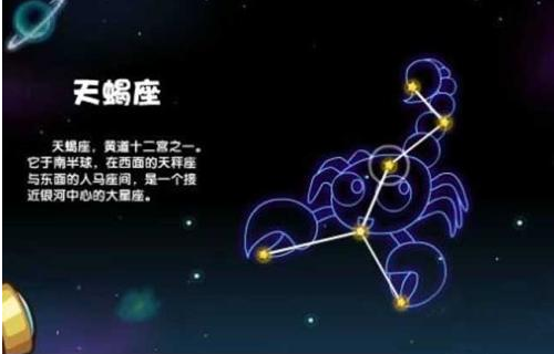 11月10日是什么星座？