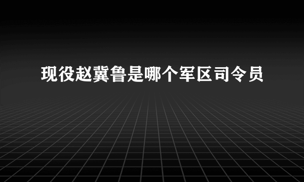 现役赵冀鲁是哪个军区司令员