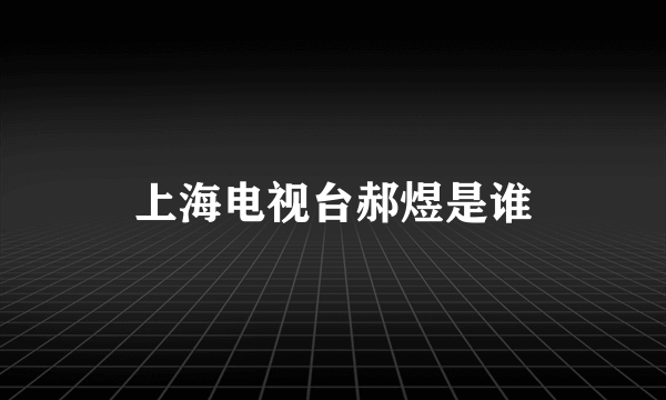 上海电视台郝煜是谁