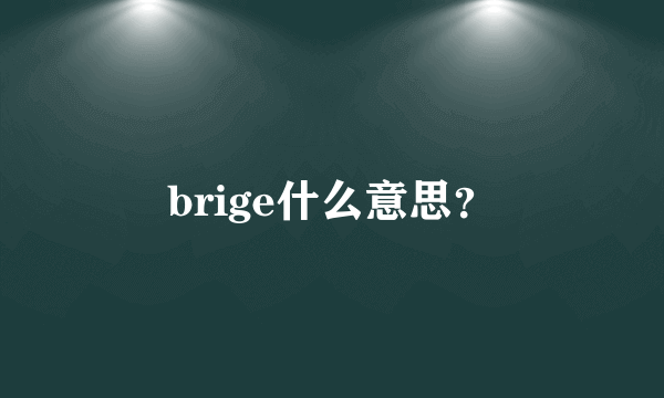 brige什么意思？