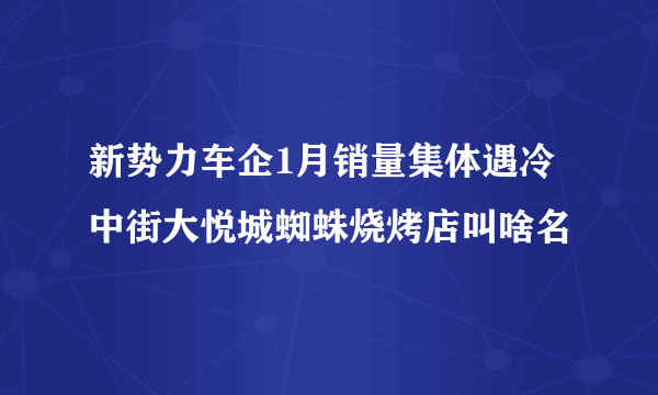 新势力车企1月销量集体遇冷中街大悦城蜘蛛烧烤店叫啥名