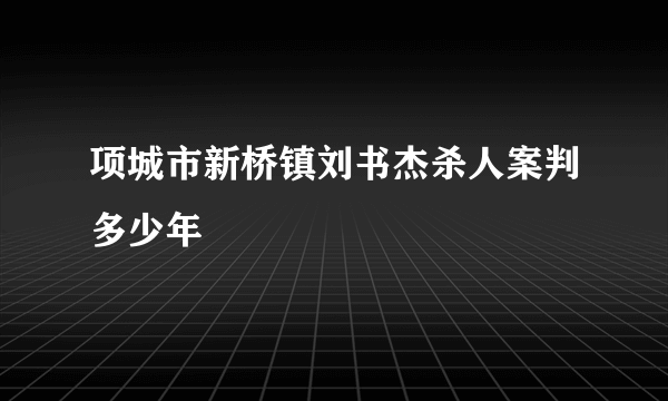 项城市新桥镇刘书杰杀人案判多少年