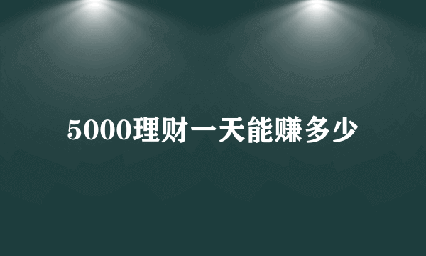 5000理财一天能赚多少