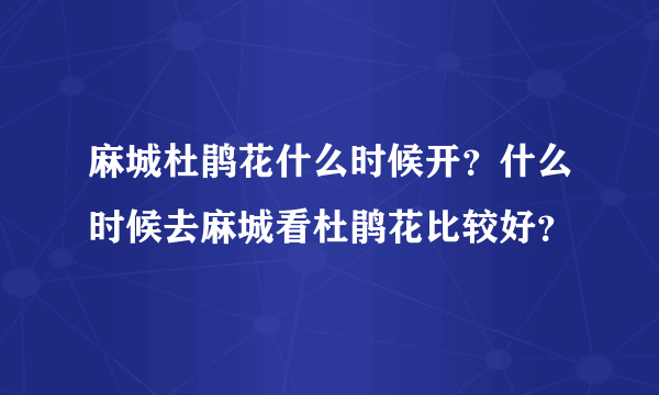 麻城杜鹃花什么时候开？什么时候去麻城看杜鹃花比较好？