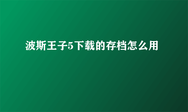 波斯王子5下载的存档怎么用