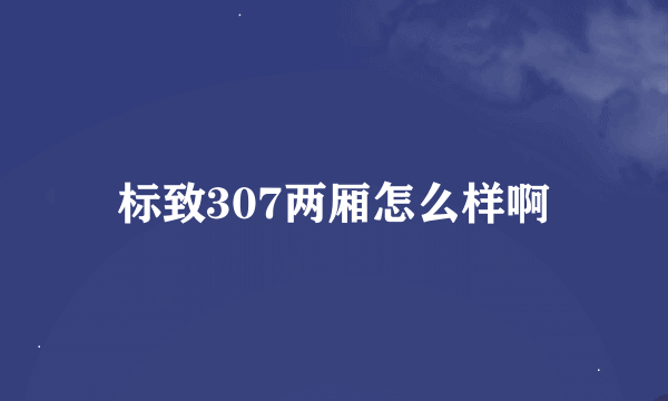 标致307两厢怎么样啊