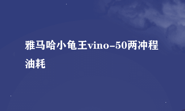 雅马哈小龟王vino-50两冲程油耗