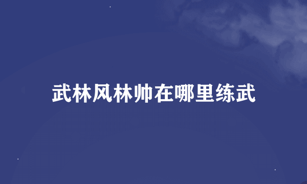 武林风林帅在哪里练武