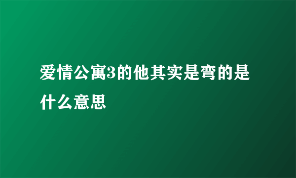 爱情公寓3的他其实是弯的是什么意思