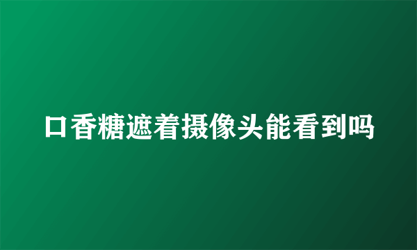 口香糖遮着摄像头能看到吗