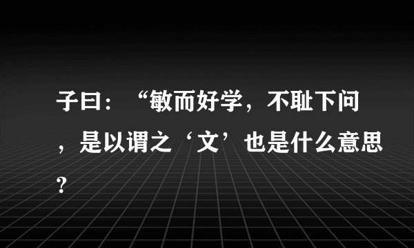 子曰：“敏而好学，不耻下问，是以谓之‘文’也是什么意思？