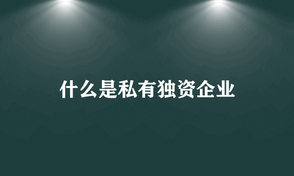 什么是私有独资企业