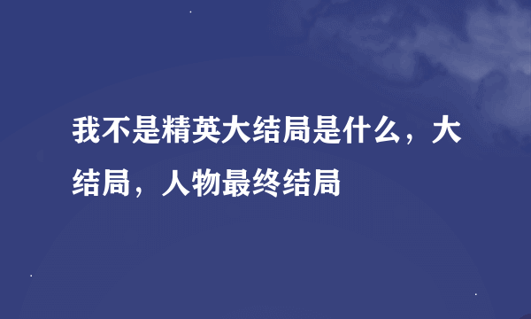 我不是精英大结局是什么，大结局，人物最终结局