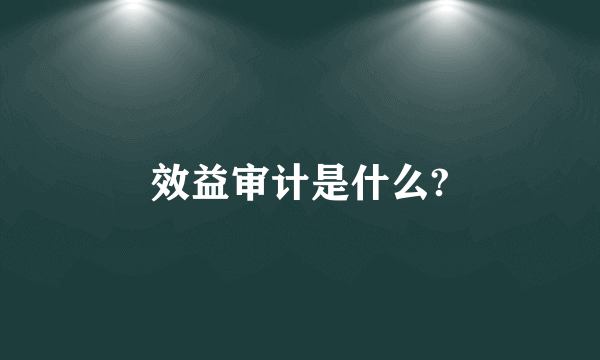 效益审计是什么?