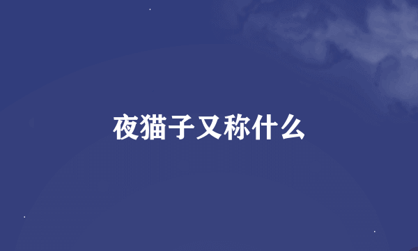 夜猫子又称什么