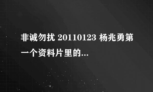 非诚勿扰 20110123 杨兆勇第一个资料片里的背景音乐是什么？