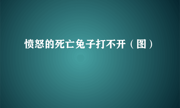 愤怒的死亡兔子打不开（图）