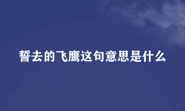 誓去的飞鹰这句意思是什么