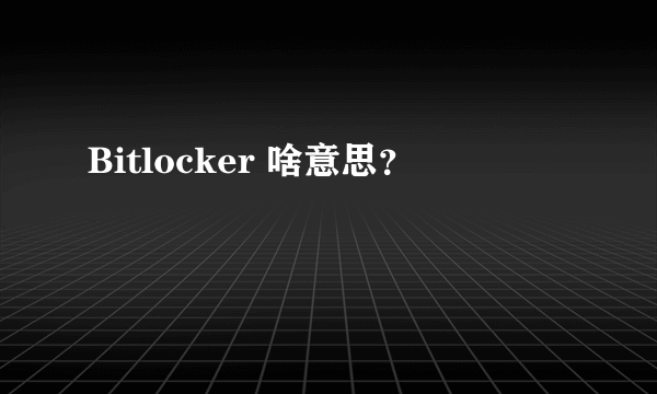 Bitlocker 啥意思？