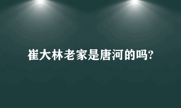 崔大林老家是唐河的吗?