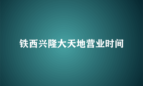 铁西兴隆大天地营业时间