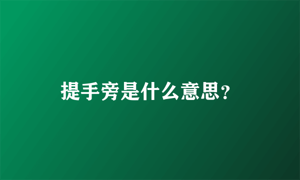 提手旁是什么意思？