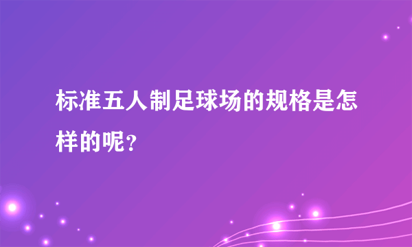 标准五人制足球场的规格是怎样的呢？