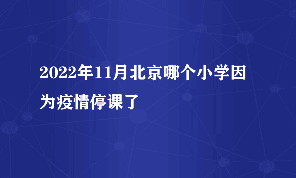 2022年11月北京哪个小学因为疫情停课了