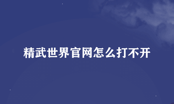 精武世界官网怎么打不开