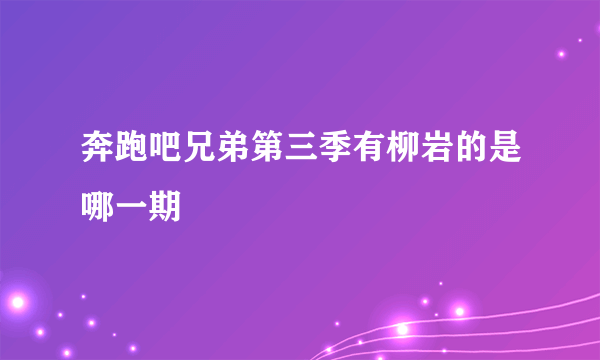 奔跑吧兄弟第三季有柳岩的是哪一期