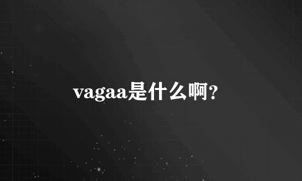 vagaa是什么啊？