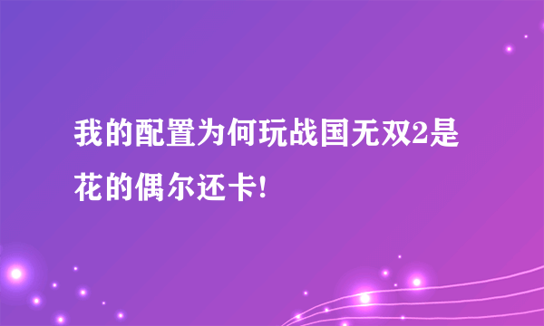 我的配置为何玩战国无双2是花的偶尔还卡!