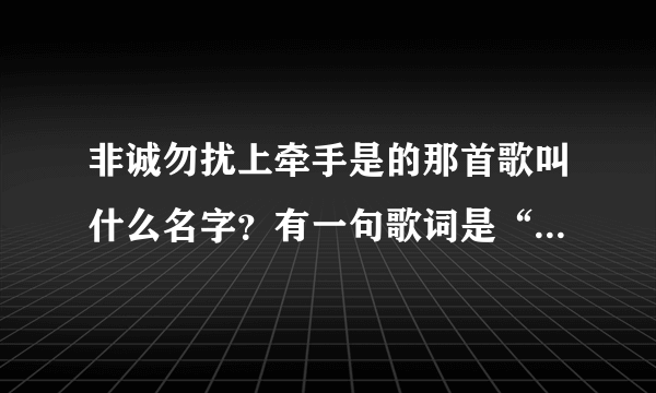 非诚勿扰上牵手是的那首歌叫什么名字？有一句歌词是“你牵我的手带我一起走”