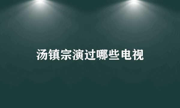 汤镇宗演过哪些电视