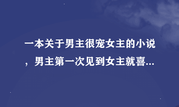 一本关于男主很宠女主的小说，男主第一次见到女主就喜欢上了她