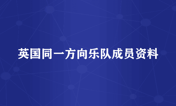 英国同一方向乐队成员资料