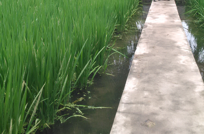 沈阳建筑大学怎么样