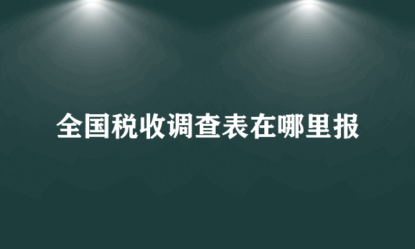 全国税收调查表在哪里报