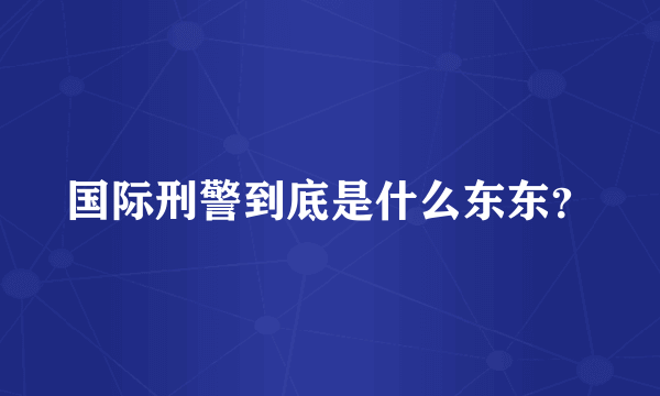 国际刑警到底是什么东东？