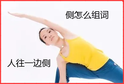 侧怎么组词