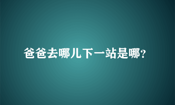 爸爸去哪儿下一站是哪？